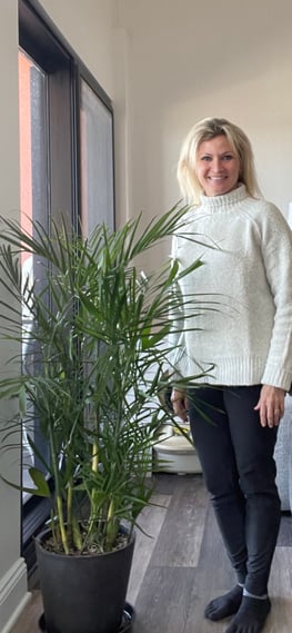 Meet Fred the bamboo palm