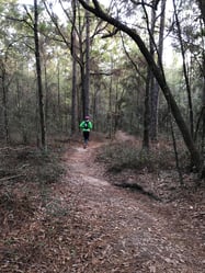 trail running.jpg